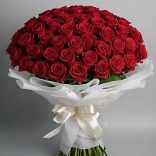 Букет 101 Красная роза Блэк Мэджик в Сольцах