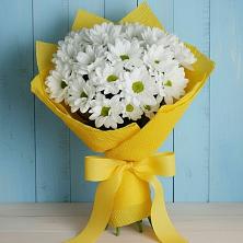 Букет цветов из:  Хризантемы в Сольцах