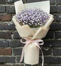 Букет цветов из:  Гипсофила в Сольцах
