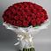 Букет 101 Красная роза Блэк Мэджик в Сольцах
