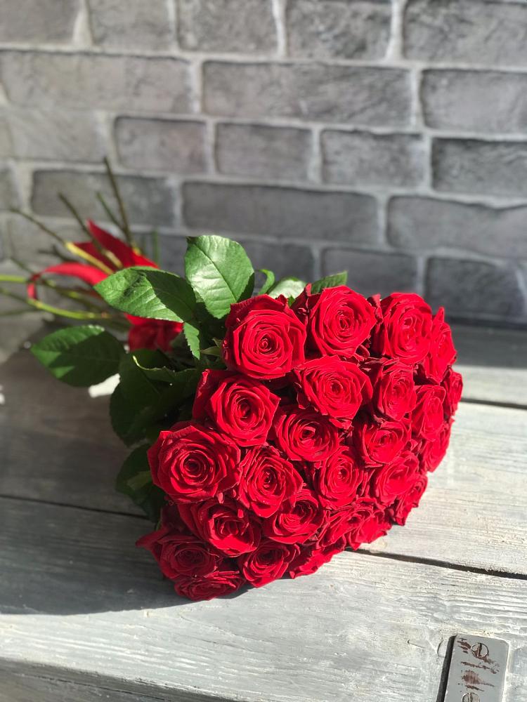 Букет Красные розы Фридом в Сольцах