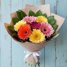 Букет цветов из:  Герберы в Сольцах