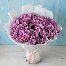 Букет цветов из:  Хризантемы в Сольцах