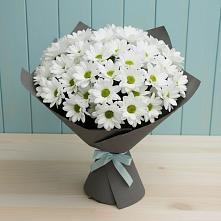 Букет цветов из:  Хризантемы #REPLACE_PRED# Сольцах