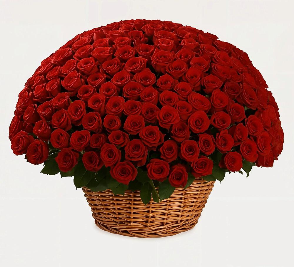 Премиум букет из: Розы в Сольцах