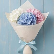 Букет цветов из:  Гортензия в Сольцах