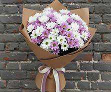 Букет цветов из:  Хризантемы в Сольцах