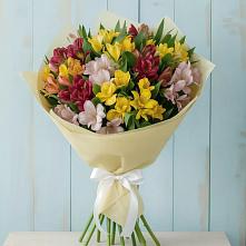 Букет цветов из:  Альстромерии в Сольцах