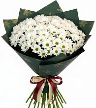 Букет цветов из:  Хризантемы в Сольцах