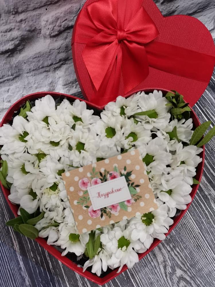 Цветочная композиция из Хризантемы в виде сердца в Сольцах