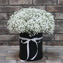 Цветочная композиция из Гипсофила в шляпной коробке в Сольцах