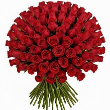 Букет Красные розы Чери Лав #REPLACE_PRED# Сольцах