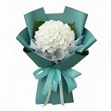 Букет цветов из:  Гортензия в Сольцах